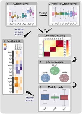 A Modular Cytokine Analysis Method Reveals Novel Associations With Clinical Phenotypes and Identifies Sets of Co-signaling Cytokines Across Influenza Natural Infection Cohorts and Healthy Controls